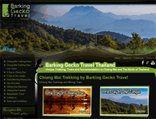 Tablet Screenshot of barkinggeckotravel.com